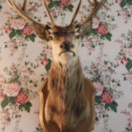 Grand Des Templiers, Piscine & 4* Reims