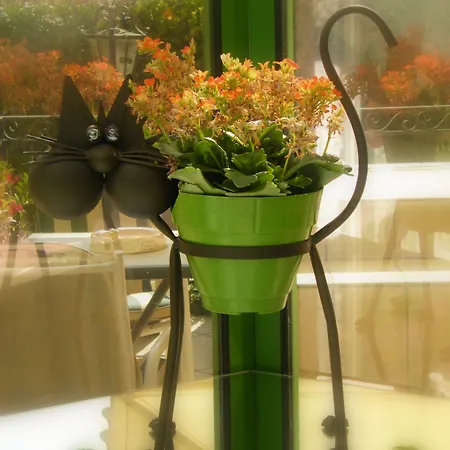 Grand Des Templiers, Piscine & Hotel