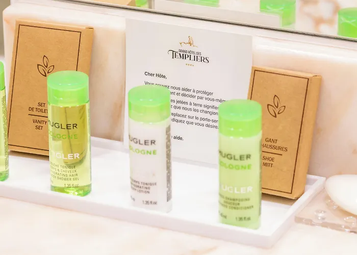 Grand Des Templiers 4* 랭스